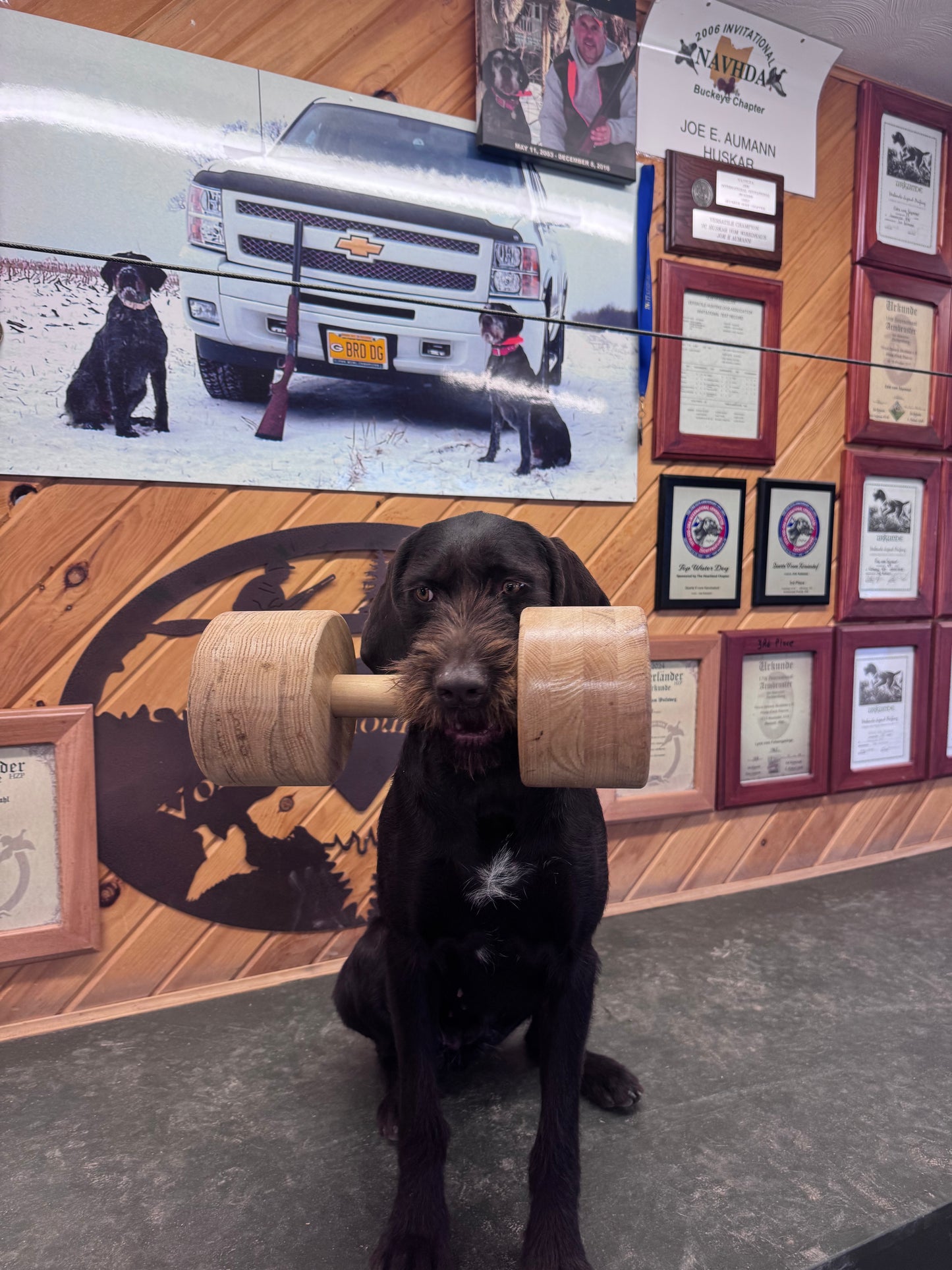 Retriever bundle 3 Dumbells(5lb, 7lb, 9lb)