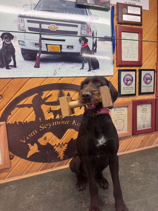 Retriever Dumbell(1lb,2lb,3lb)