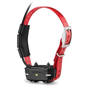 TB 10 Dog Device, Red Collar