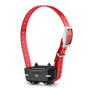 PT 10, Red Collar
