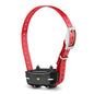 PT 10, Red Collar