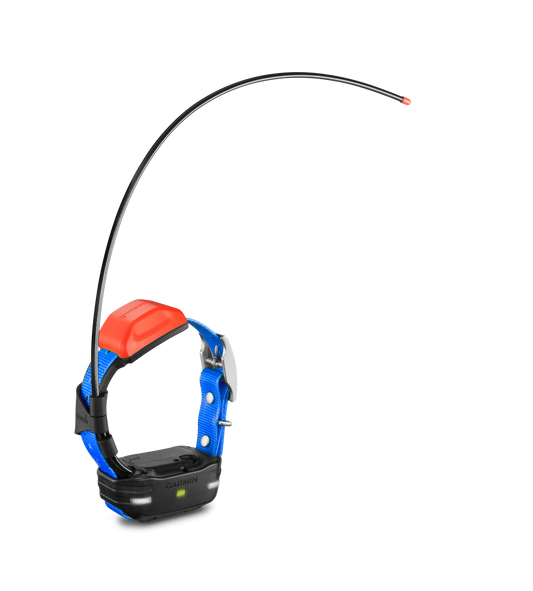 Alpha T20 Collar